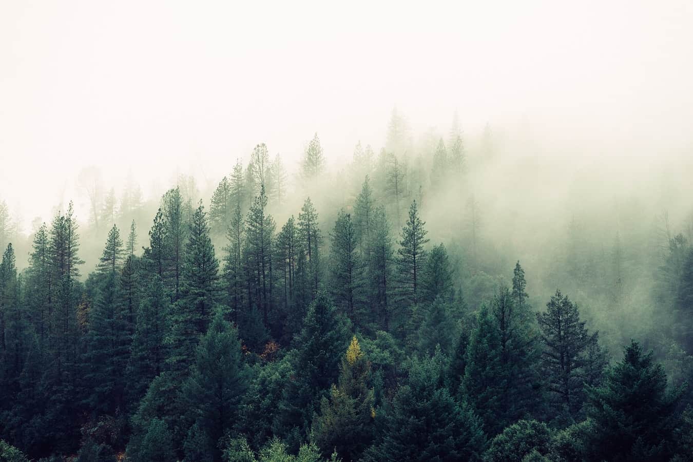 Natur